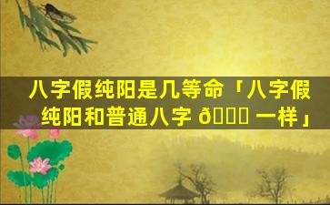 八字假纯阳是几等命「八字假纯阳和普通八字 🐝 一样」